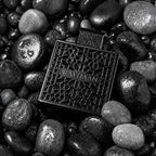 Rayhaan Obsidian